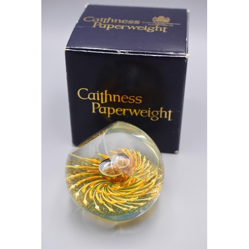 136 - Caithness Glass Tawany Owl Paperweight in Original Box