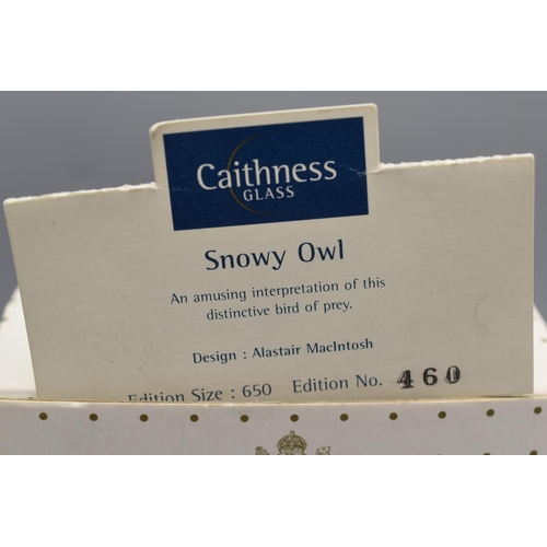 137 - Caithness Limited Edition (460 OF 650) Paperweight with certificate of authenticity ' Snowy Owl ' de... 