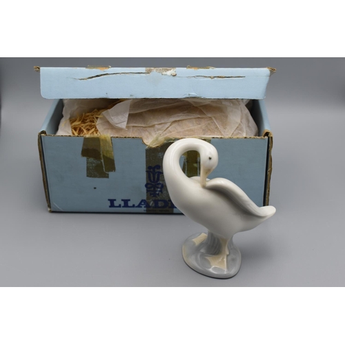 186 - Lladro 'Little Duck' Figure in box 4553