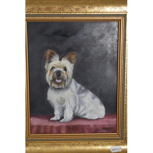 483 - Colin Bate Original Oil on Board of Westie in Gilt Framed Mount (12