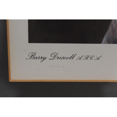 241 - Limited Edited Print of Snowy Owl (male) by Barry Driscoll with signature and Blindstamp approx. 25