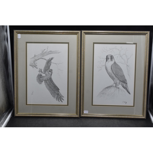 244 - Pair of C Varley signed Prints from original Sketches in Framed and Glazed Mounts