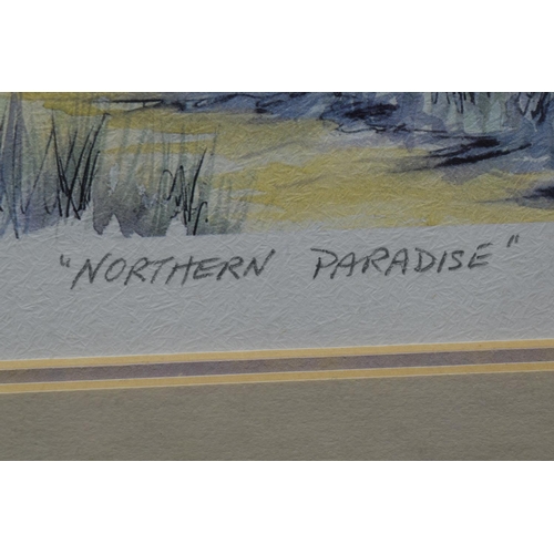 246 - Framed Print by Gareth Bassett 'Northern Paradise' limited edition 33/600