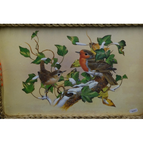 225 - Two Vintage Bird Themed Tea Trays