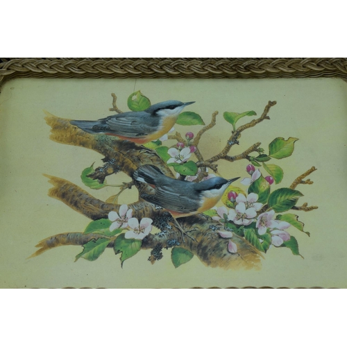 225 - Two Vintage Bird Themed Tea Trays