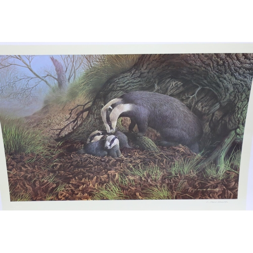 414 - Twenty Six C David Johnston Limited Edition Prints entitled Badgers (17