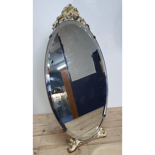 16 - Regency Style Wood Backed Table Mirror (19