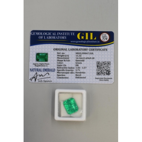 9 - Natural Green Emerald (11.32 ct) Complete with Certificate
