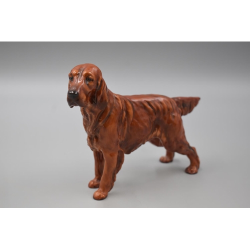 81 - Vintage Royal Doulton Irish Setter Dog HN 1055 Figurine