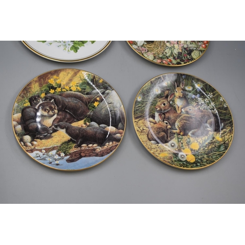 239 - Selection of Six Collectable Plates to include Birds and Wildlife