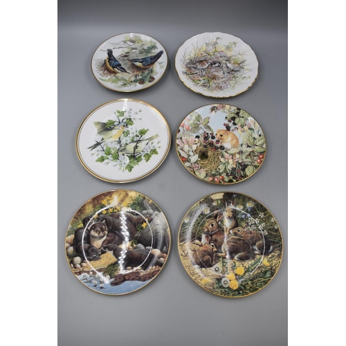 239 - Selection of Six Collectable Plates to include Birds and Wildlife