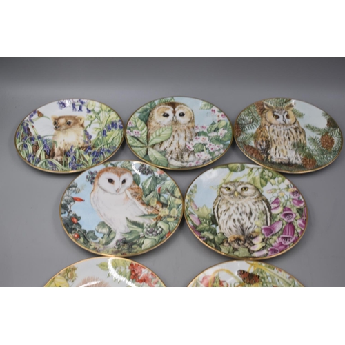 240 - Seven Royal Kendal Collectors Plates to include 'The british Owl Collection and 'Endangered British ... 