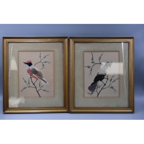 264 - Two Gilt Framed and Glazed Water Colour Pictures of Birds Done With Feathers . Approx 12 x 15 Inches