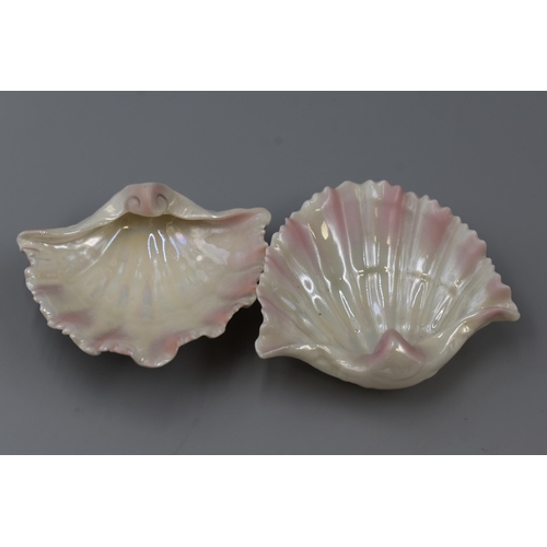 131 - A Pair of Royal Worcester Irridescent Shell Trinket Dishes , Approx 80 x 90 mm