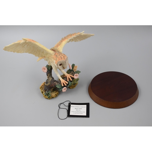 157 - Royal Doulton Owl Figurine on Wooden Plinth