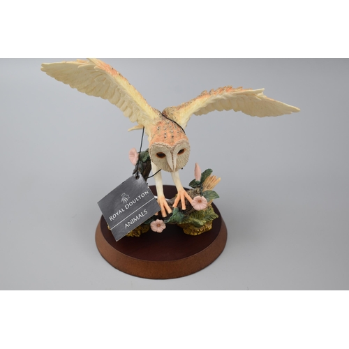 157 - Royal Doulton Owl Figurine on Wooden Plinth