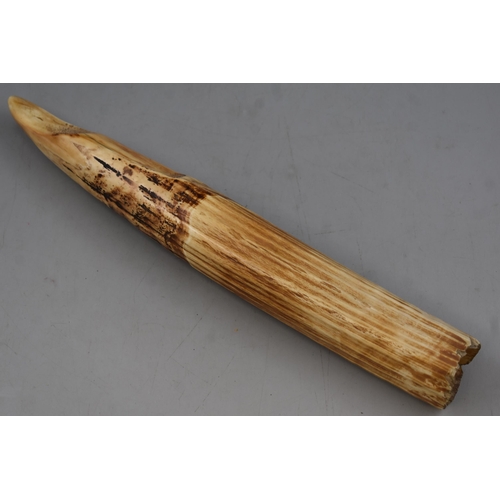 10 - Antique Bone Tusk 15