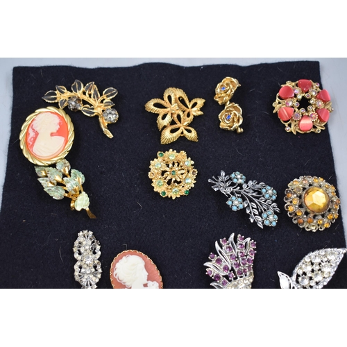 173 - A Selection Of 21 Vintage Brooches. Includes Cameo, Hummingbird, Owl and More.