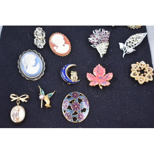 173 - A Selection Of 21 Vintage Brooches. Includes Cameo, Hummingbird, Owl and More.