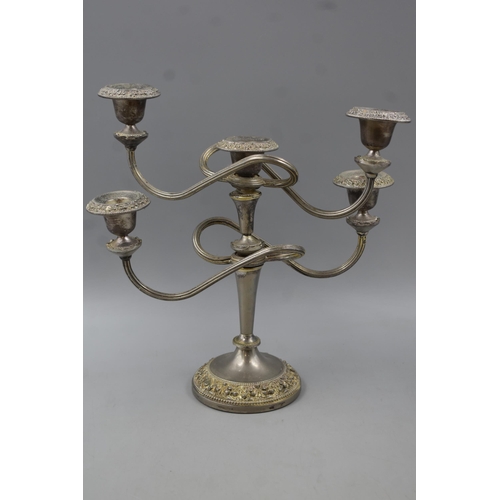 176 - Two Silver Plated Candlesticks, Includes a Five Twisted Stem and Grape Decorated One. Tallest Approx... 