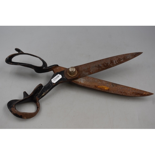 563 - LARGE Pair of Vintage Tailors Scissors 14