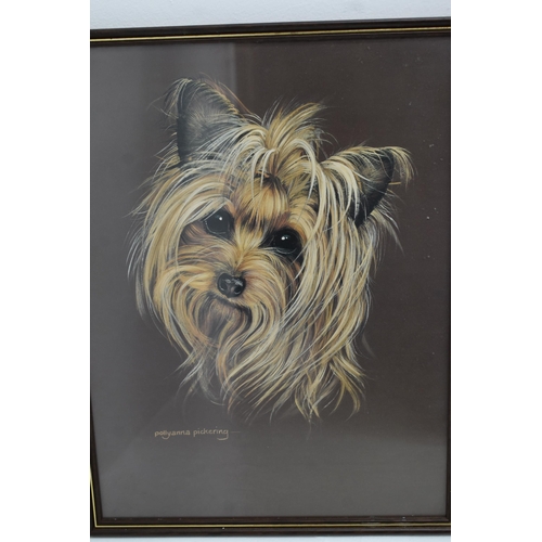 333 - Five Pollyanna Pickering Prints of Yorkshire Terriers, Approx 14 x 17 Inches