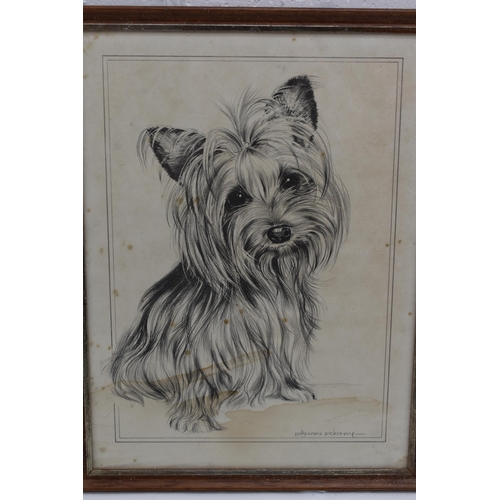 333 - Five Pollyanna Pickering Prints of Yorkshire Terriers, Approx 14 x 17 Inches