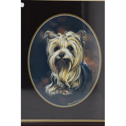 333 - Five Pollyanna Pickering Prints of Yorkshire Terriers, Approx 14 x 17 Inches