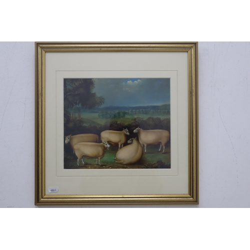 334 - Two Framed and Glazed Vintage Prints Depicting Sheep approx 16.5