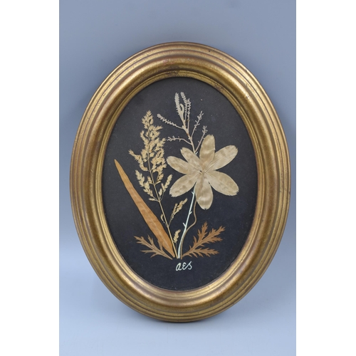 364 - Two Gilt Framed and Glazed Pressed Flower Arrangements by Angela E Sandilands 9