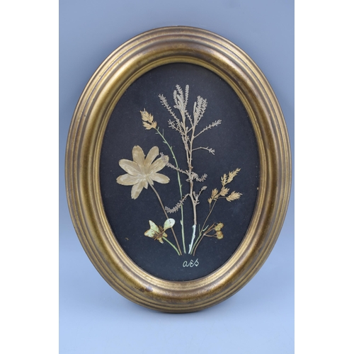 364 - Two Gilt Framed and Glazed Pressed Flower Arrangements by Angela E Sandilands 9