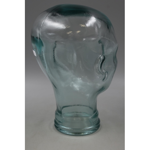 171 - Large Glass Display Head approx. 11.5