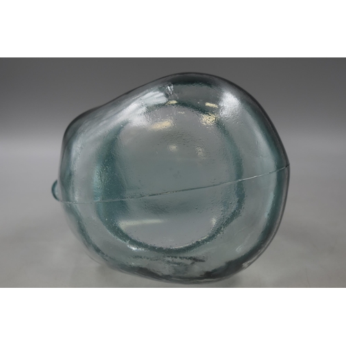 171 - Large Glass Display Head approx. 11.5