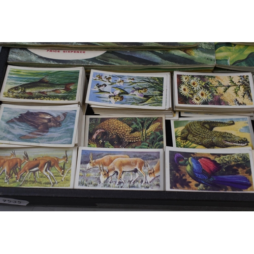 443 - Selection of 8 Brooke Bond Tea Card Booklets some Complete with Cards and a Large Selection of Cards