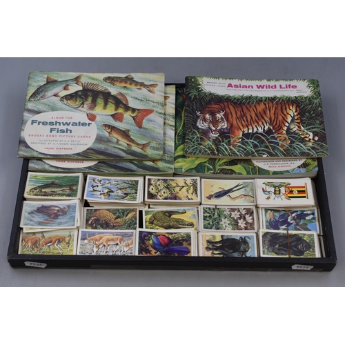 443 - Selection of 8 Brooke Bond Tea Card Booklets some Complete with Cards and a Large Selection of Cards