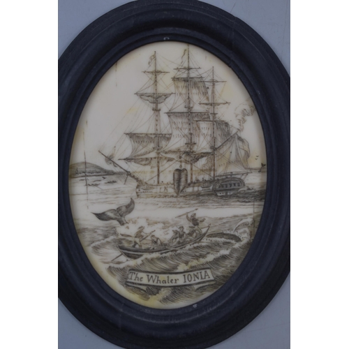 170 - Collection of four Scrimshaw style nautical themed in oval frame 15cm x 12cm