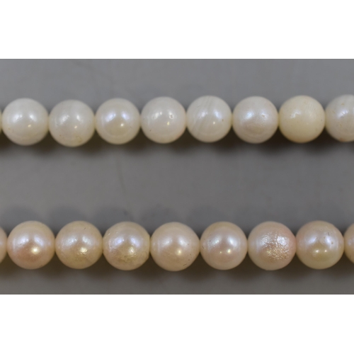 51 - Two Japanese Akoya Pearl Silver 925 Necklaces