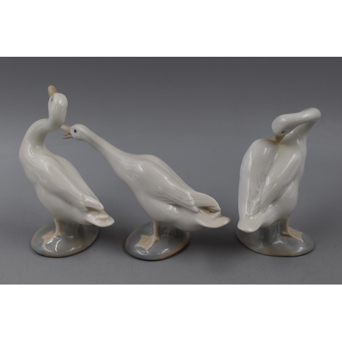 113 - Set of 3 Lladro Fine Porcelain Swan Figures