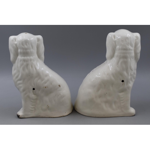 209 - A Pair of Ceramic Staffordshire Dogs. Approx 9.5