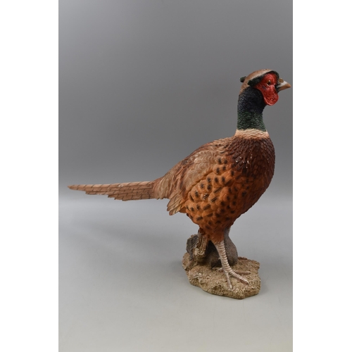 352 - Large Decorative Pheasant Statue. Approx. 19