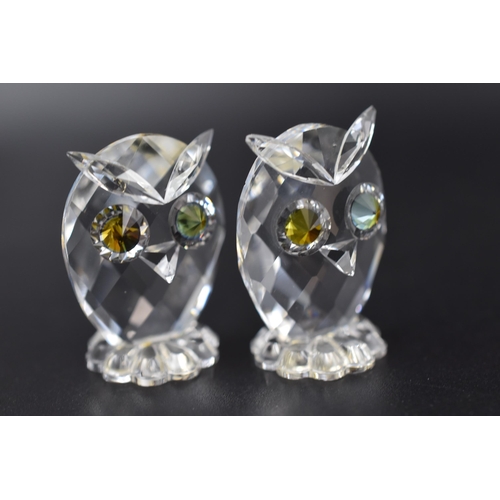 232 - Selection of Swarovski Crystal Animal Figures including Owls, Cat and Mouse all in Original Boxes