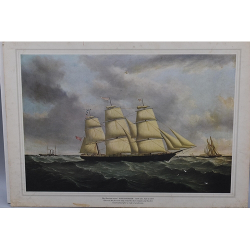 733 - A Selection of Eighteen Ship Line Prints, Includes The Harrison Line, Pisces Pioneer, SS Astronomer ... 