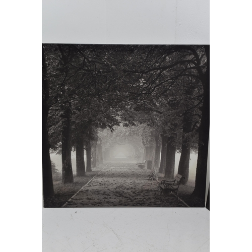 439 - Two LARGE Canvas Prints Depicting Black and White Misty Morning Scenes Largest 46