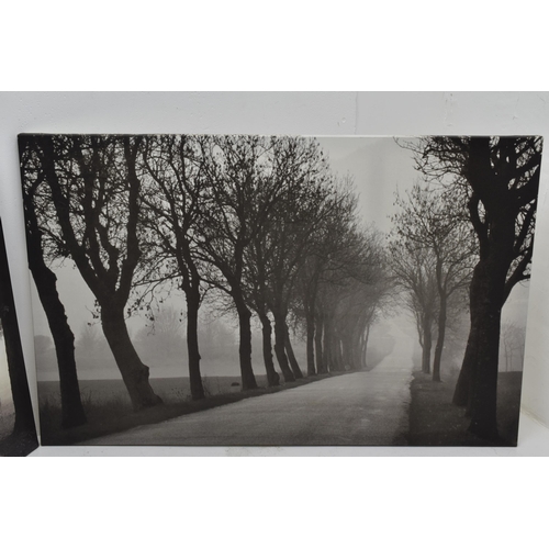 439 - Two LARGE Canvas Prints Depicting Black and White Misty Morning Scenes Largest 46