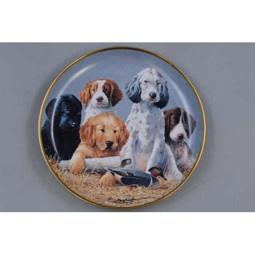 420 - Selection of 5 Limited Edition Collectors Plates including Sporting Trio and Battle of Britian