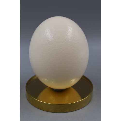 234 - Ostrich Egg with Glass Dome Case, Total Height approx 11