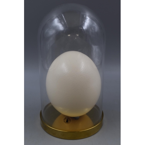 234 - Ostrich Egg with Glass Dome Case, Total Height approx 11