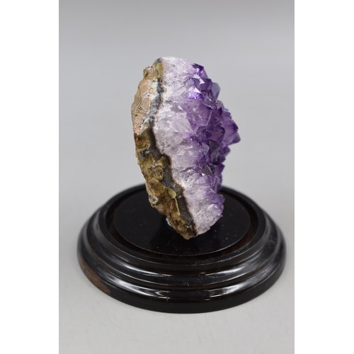 238 - Amethyst in Display Case Total Height approx 4