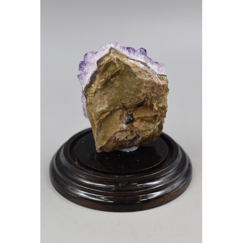 238 - Amethyst in Display Case Total Height approx 4