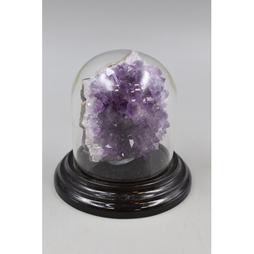 238 - Amethyst in Display Case Total Height approx 4